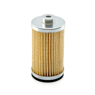 Air Filter replaces Rietschle 317900