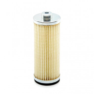 Air Filter replaces Rietschle 317895